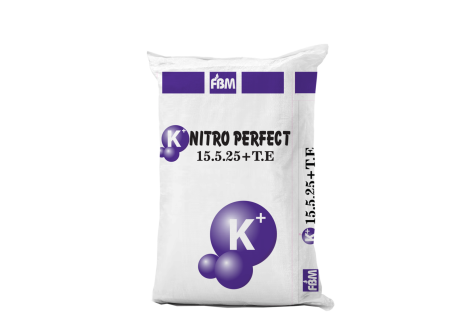 NPK VTD 15-5-25+TE – Giải Pháp Dinh Dưỡng Tối Ưu Cho Giai Đoạn Nuôi Trái, Nuôi Củ