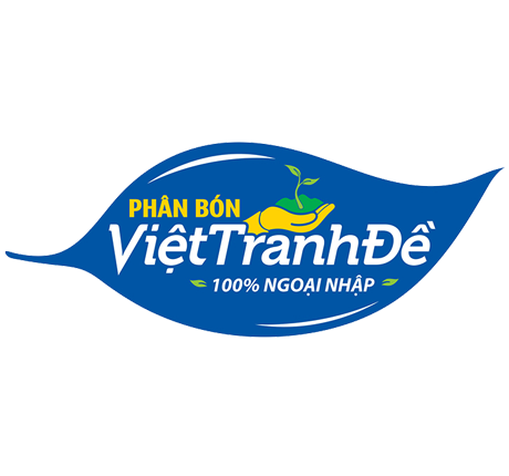 Giới thiệu công ty Việt Tranh Đề
