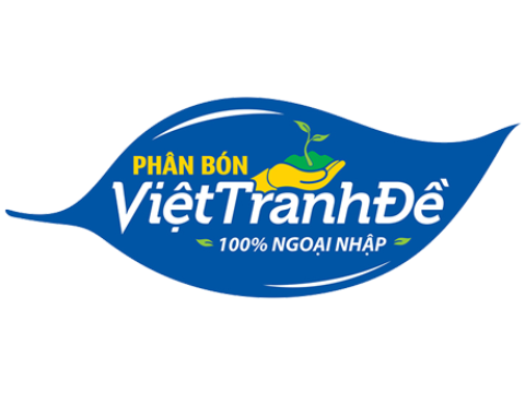 Giới thiệu công ty Việt Tranh Đề