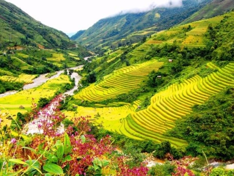 Hoạt động 1