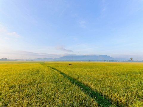 Hoạt động 3
