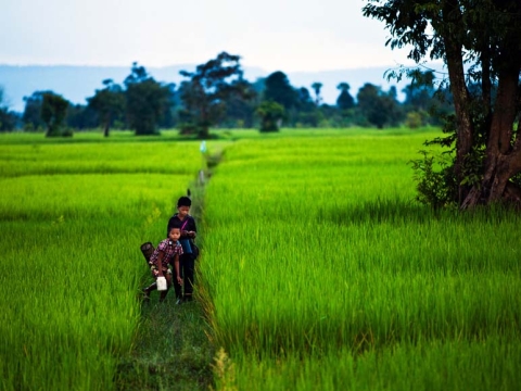 Hoạt động 4